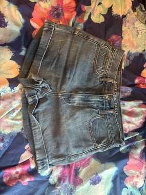 American Eagle Light Blue Denim Shorts with Cuffed Hem